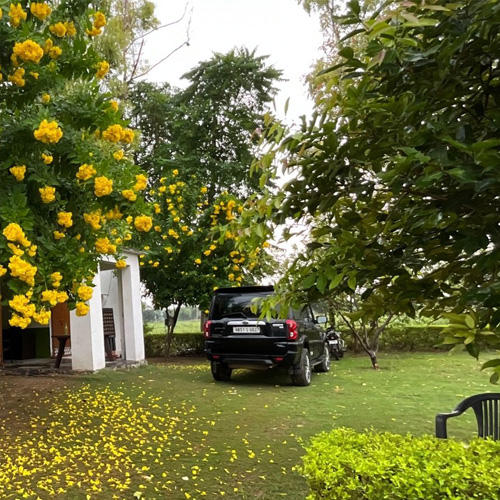 Farm House in Naugaon, Naugaon, Alwar