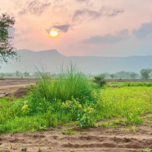 Farm House in Naugaon, Naugaon, Alwar